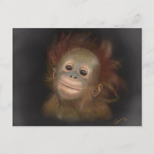 Gunung Baby Orangutan Postcard (Front)