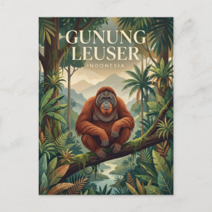 Gunung Leuser Indonesia Postcard