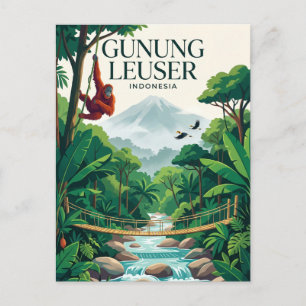 Gunung Leuser National Park Indonesia Postcard
