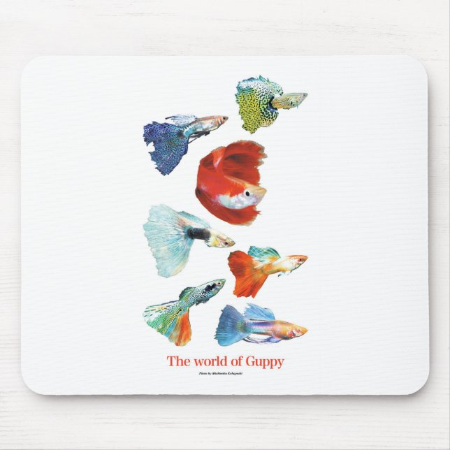 Guppy goods mouse mat (Front)
