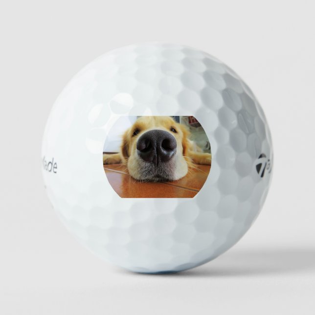 gus laying flat up close golf balls (Front)
