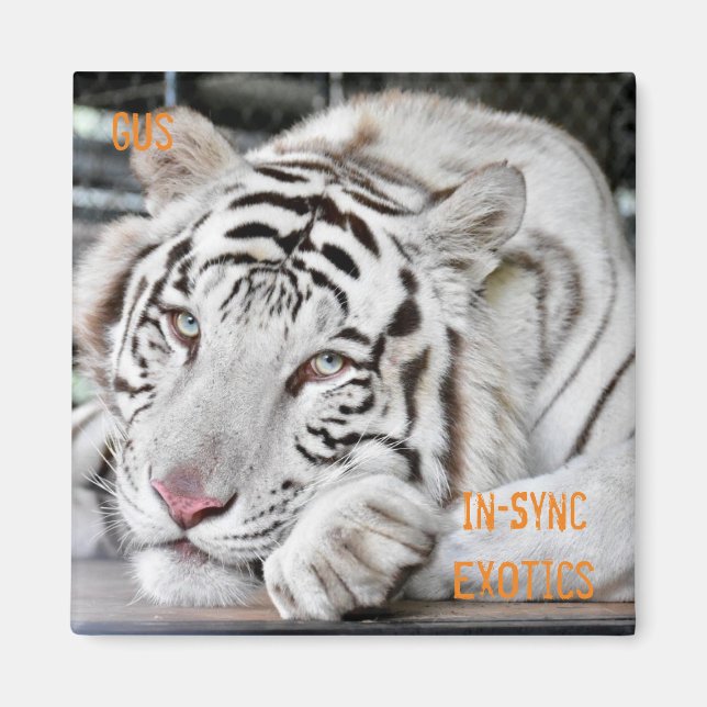 Gus - magnet (Front)