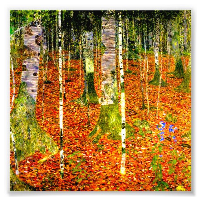 Gustav Klimt Birch Trees Photo Print (Front)