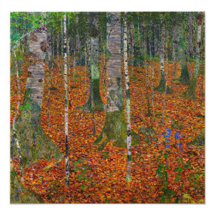 Gustav Klimt - Birch Wood Photo Print