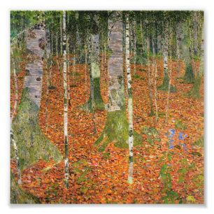 Gustav Klimt - Farmhouse With Birch Trees Photo Print