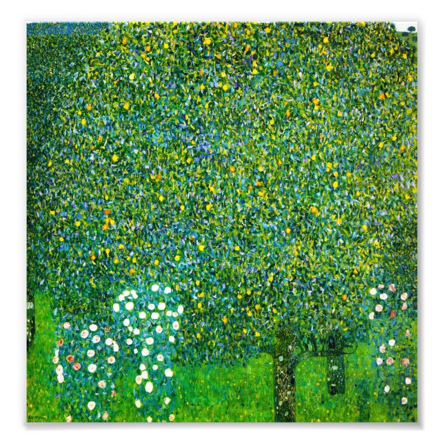 Gustav Klimt Roses Under The Pear Tree Photo Print (Front)
