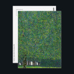Gustav Klimt - The Park Postcard<br><div class="desc">The Park - Gustav Klimt,  Oil on Canvas,  1910</div>