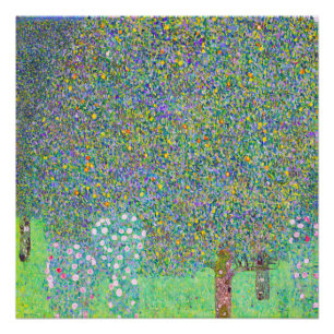 Gustav Klimt's Rosebushes under the Tree painting  Poster