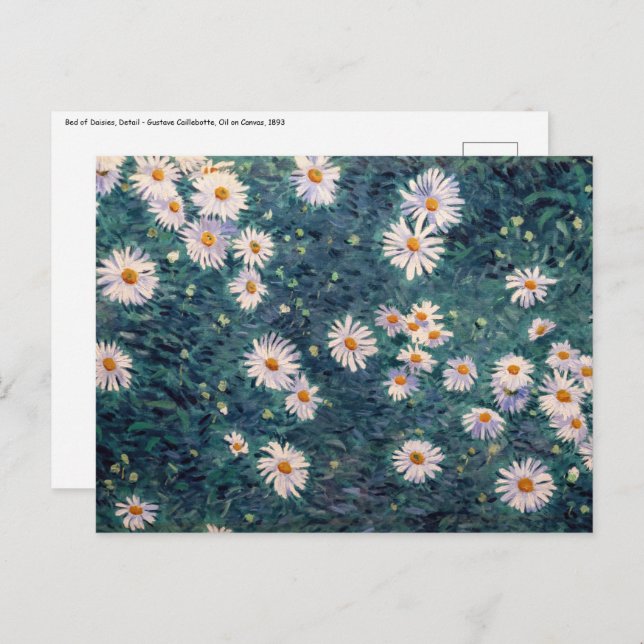 Gustave Caillebotte - Bed of Daisies, Detail Postcard (Front/Back)