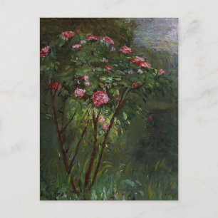 Gustave Caillebotte- Rose Bush in Flower Postcard