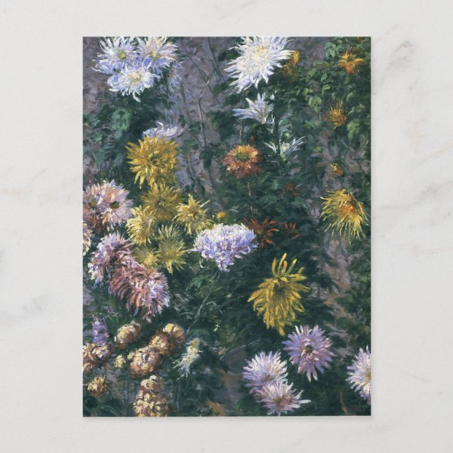 Gustave Caillebotte- White & Yellow Chrysanthemums Postcard (Front)