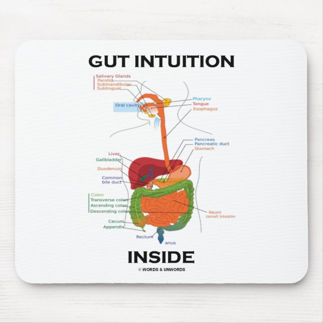 Gut Intuition Inside (Digestive System Humour) Mouse Mat (Front)