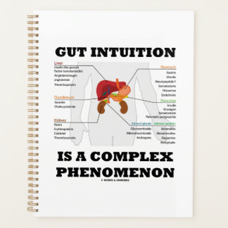 Gut Intuition Is A Complex Phenomenon Endocrine Planner