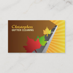 Gutter Cleaning Business Cards