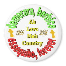 Guyana 3 Counties 3" Round Magnet