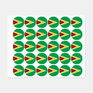 Guyana flag
