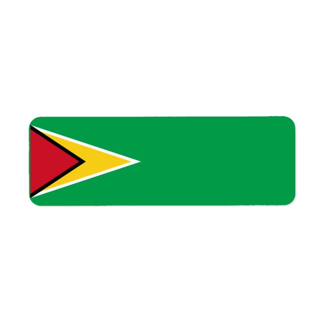 Guyana flag  (Front)