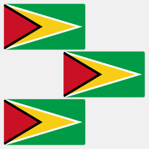 Guyana Flag