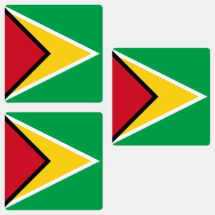 Guyana Flag