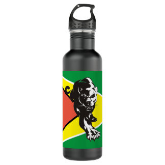 Guyana Flag 03 710 Ml Water Bottle