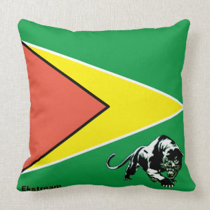 Guyana Flag 04 Cushion