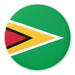 Guyana flag ceramic knob
