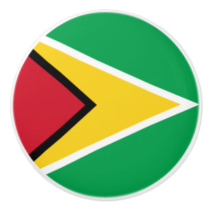 Guyana flag ceramic knob