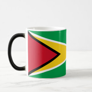 Guyana Flag Magic Mug