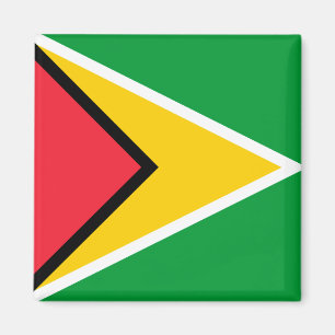 Guyana Flag  Magnet