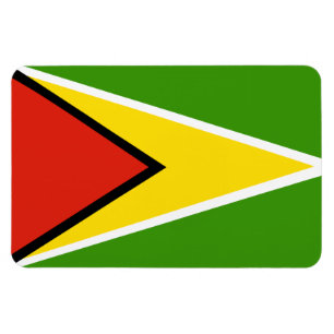 Guyana flag magnet