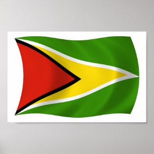 Guyana Flag Poster Print
