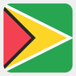 Guyana Flag  Square Sticker