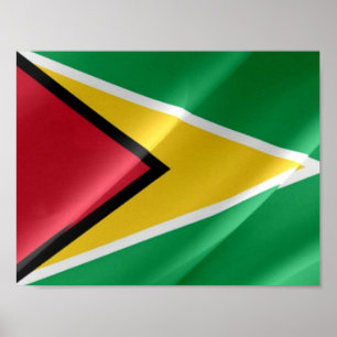 Guyana - Flag Waving - Poster