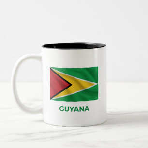 Guyana Simple Flag Everyday Pride Two-Tone Coffee Mug