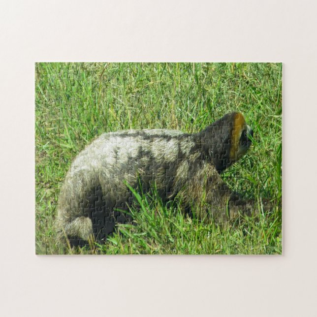 Guyana Sloath. Jigsaw Puzzle (Horizontal)