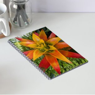 Guzmania Bromeliad Plant Floral Notebook