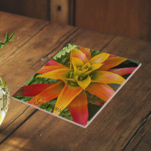 Guzmania Bromeliad Plant Floral Tile