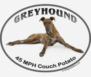 Couch Potato Gifts Gift Ideas Zazzle Uk