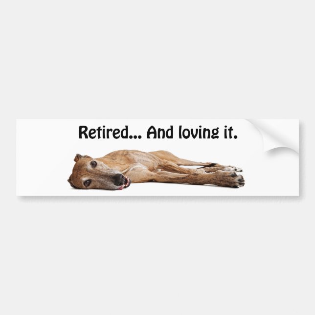GVV Greyhound Retired and Loving It Bumper Sticker (Front)