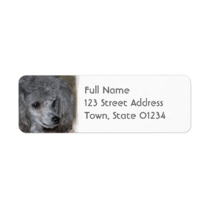 Gy Poodle Mailing Labels