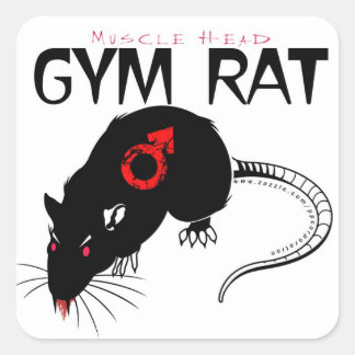 Gym Rat Square Sticker