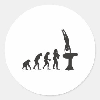 Gymnastic Vault Classic Round Sticker