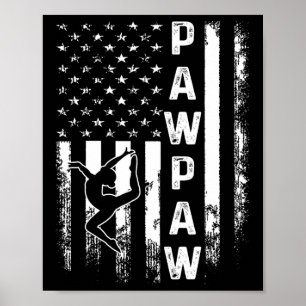 Gymnastics Gymnast Pawpaw America Flag Vintage Chr Poster