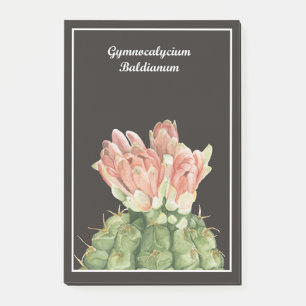 Gymnocalycium Baldianum Cactus Post-it Notes