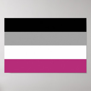 Gynephilia Pride Flag Poster