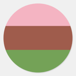 Gynosexual Pride Flag Classic Round Sticker