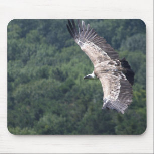 Gyps fulvus flying mouse mat