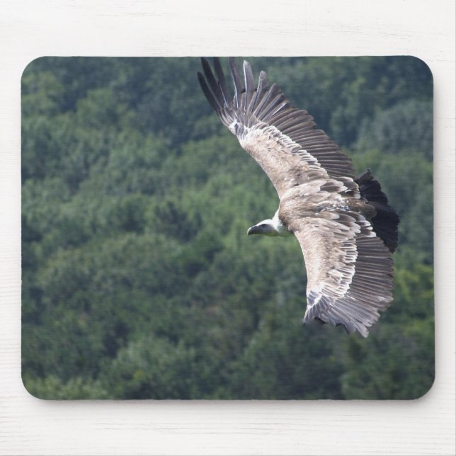 Gyps fulvus flying mouse mat (Front)