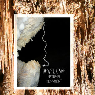 Gypsum Flower Tendril Jewel Cave National Monument Postcard