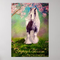 "Gypsy Blassom" Irish Vanner Stallion pinto horse